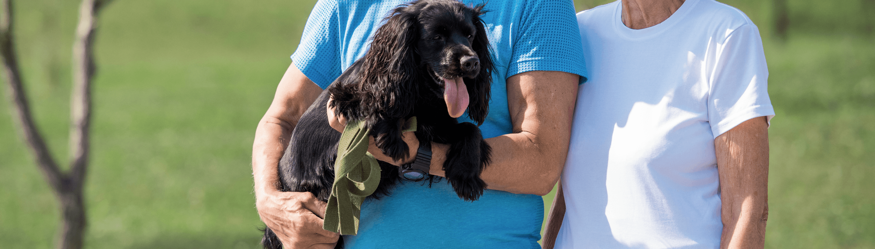 The Paw-sitive Effects of Pets on Your Brain Health